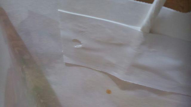 美品★Francfrancフランフラン★3枚★Shopショップ袋★紙袋★ニトリ無印良品 < インテリア/ライフ 美品★Francfrancフランフラン★3枚★Shopショップ袋★紙袋★ニトリ無印良品 < インテリア/ライフの