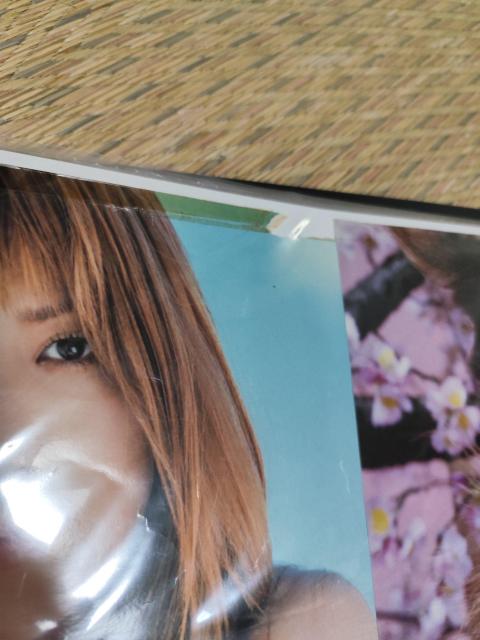 hitomi CASIOカシオ&ヒカリ ポスター < タレントグッズ hitomi CASIOカシオ&ヒカリ ポスター < タレントグッズの