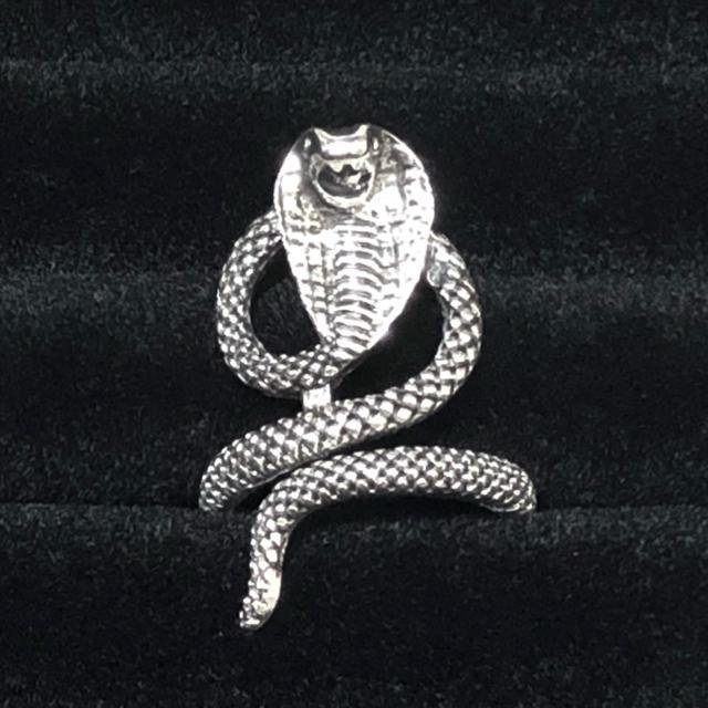 yViztRufUCVo[t[O  jANZT[/v 