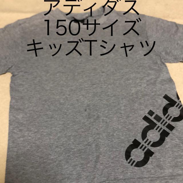 ���������@�q��T�V���c�@�A�f�B�_�X150�T�C�Y  �� �L�b�Y/�x�r�[�� 