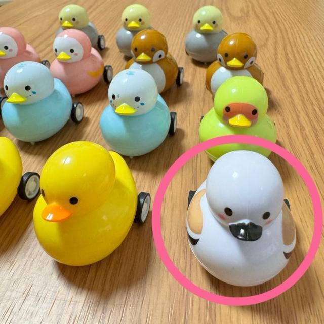 �������݁@�V�i���g�p�@���Ƃ肿���@�v���o�b�N�J�[�@�V�}�G�i�K �� ��������� 