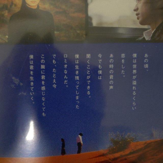 中古DVD 世界の中心で,愛をさけぶ スタンダード・エディション < CD/DVD/ビデオ 中古DVD 世界の中心で,愛をさけぶ スタンダード・エディション < CD/DVD/ビデオの