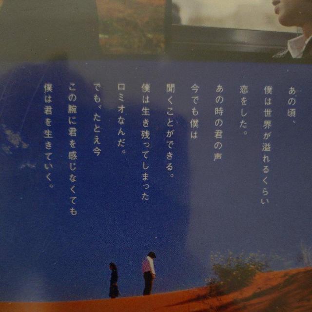 中古DVD 世界の中心で,愛をさけぶ スタンダード・エディション < CD/DVD/ビデオ 中古DVD 世界の中心で,愛をさけぶ スタンダード・エディション < CD/DVD/ビデオの