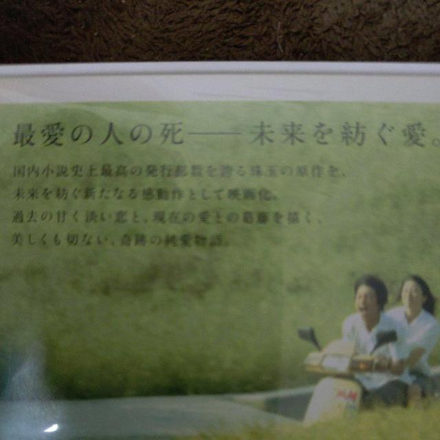 中古DVD 世界の中心で,愛をさけぶ スタンダード・エディション < CD/DVD/ビデオ 中古DVD 世界の中心で,愛をさけぶ スタンダード・エディション < CD/DVD/ビデオの