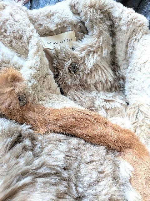 Balcony and BedoRj[xbhoRj[Ahxbhّfރ~bNXt@[pb`R[g  uh 