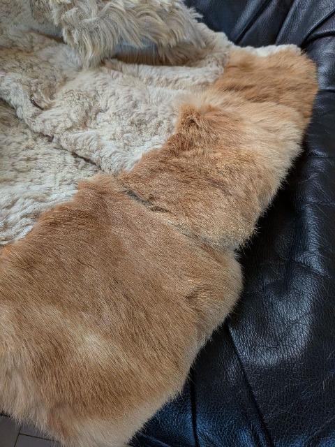 Balcony and BedoRj[xbhoRj[Ahxbhّfރ~bNXt@[pb`R[g  uh 