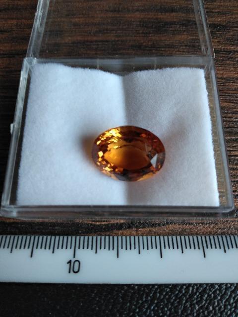 �V�g�������[�X  �� �z�r�[�� 