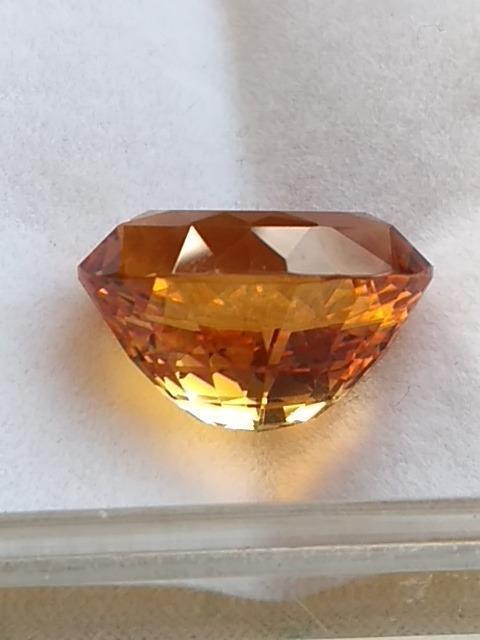 �V�g�������[�X �� �z�r�[�� 