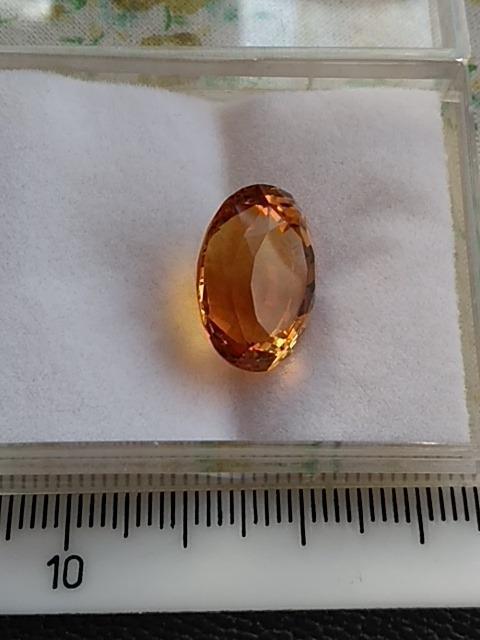 �V�g�������[�X �� �z�r�[�� 