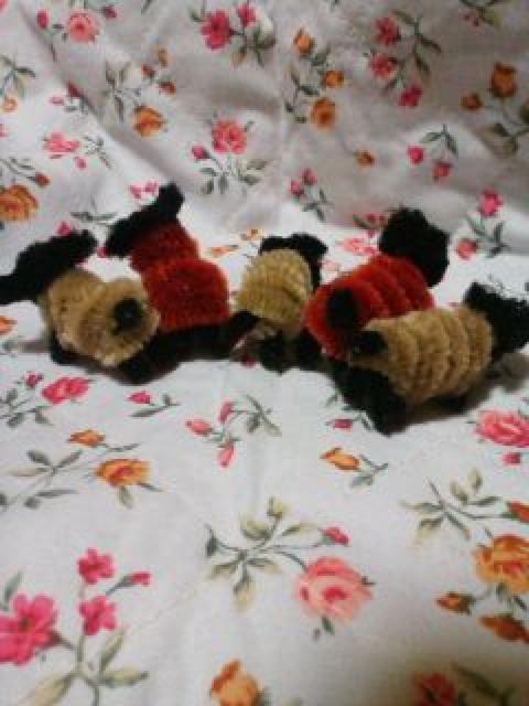 菬[}XRbgܕC̗r  ybg/|/| 