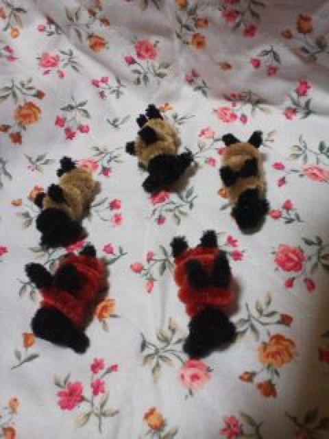 菬[}XRbgܕC̗r  ybg/|/| 