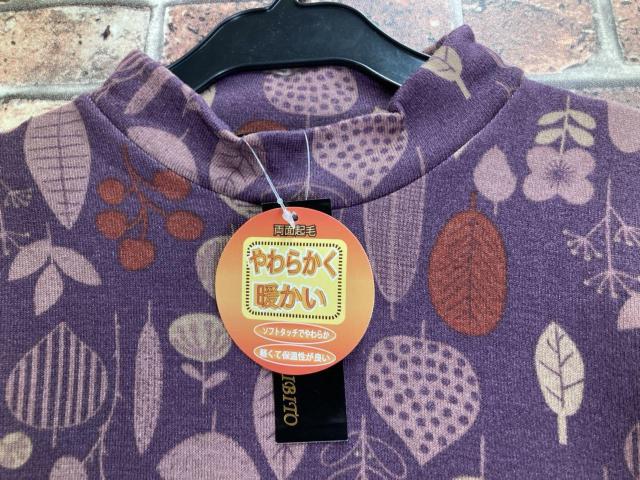 I_炩gIlC̃fUCIʋNуXgb``jbN(RF)P  t@bV 