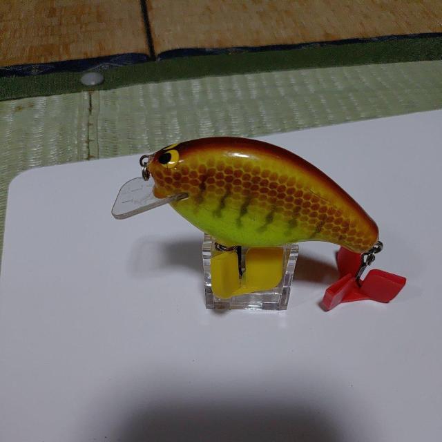 �A�����J�N�����N�x�C�g  �� ���W���[/�X�|�[�c�� 