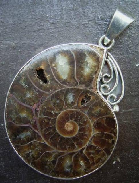 ☆即決☆アンモナイトシルバートップ 4.8センチ 化石* < 女性アクセサリー/時計 ☆即決☆アンモナイトシルバートップ 4.8センチ 化石* < 女性アクセサリー/時計の