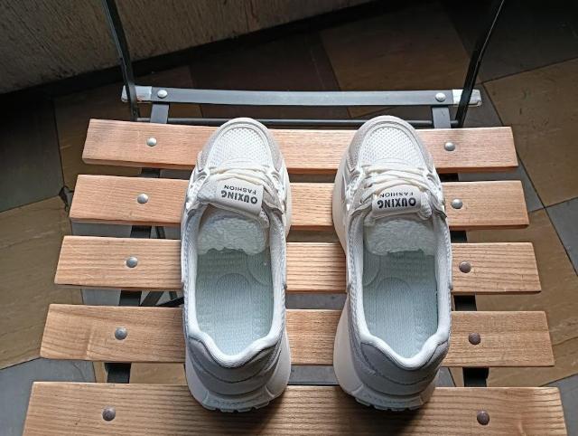 Vi 22.5cm fB[X Xj[J[ ubN V[Y C [Jbg  t@bV 