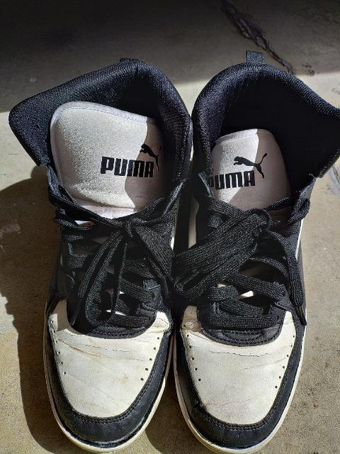 PUMA nCJbgXj[J[ obV v[}  2V.5cm  򉻂  iɂ   uh 