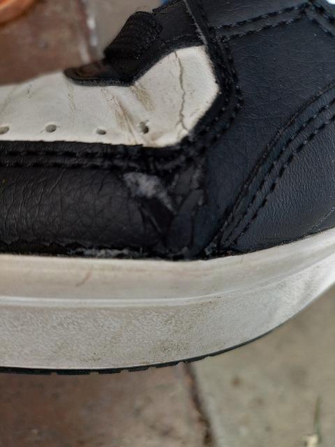 PUMA nCJbgXj[J[ obV v[}  2V.5cm  򉻂  iɂ  uh 