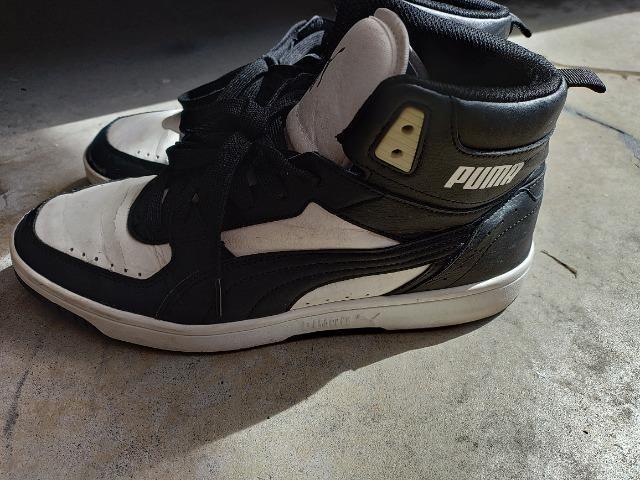 PUMA nCJbgXj[J[ obV v[}  2V.5cm  򉻂  iɂ  uh 