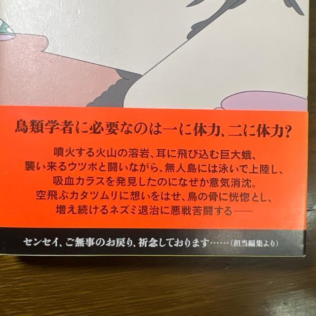 鳥類学者だからって、鳥が好きだと思うなよ。 《単行本》 川上和人 < 本/雑誌  鳥類学者だからって、鳥が好きだと思うなよ。 《単行本》 川上和人 < 本/雑誌の