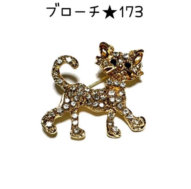 �u���[�`�@173 ���F�x�[�X�ɃL���L���W���R�j�A�̔L�����@1��  �� �����A�N�Z�T���[/���v�� 