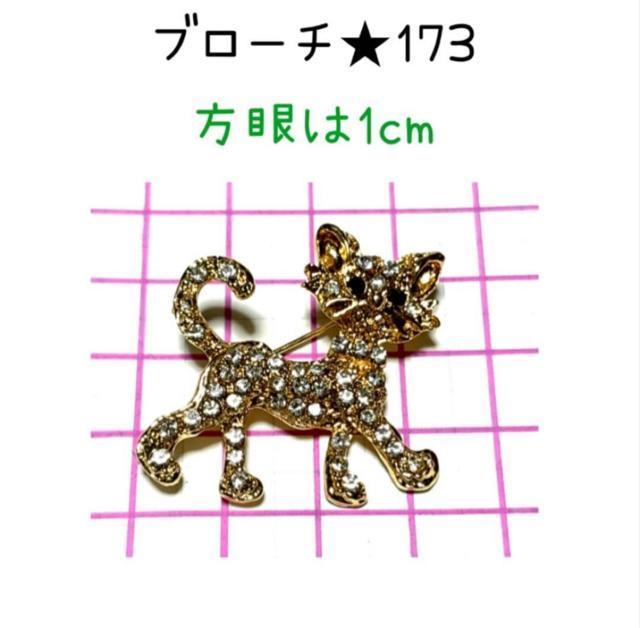 �u���[�`�@173 ���F�x�[�X�ɃL���L���W���R�j�A�̔L�����@1�� �� �����A�N�Z�T���[/���v�� 