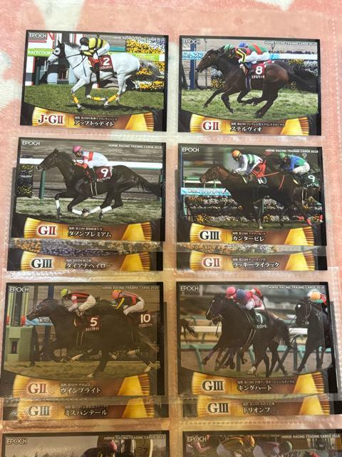 EPOCH�����[�V���O�z�[�X���g���[�f�B���O�J�[�h��vol.1�{vol.2�����M�����[�J�[�h105���Z�b�g�����n �� �z�r�[�� 