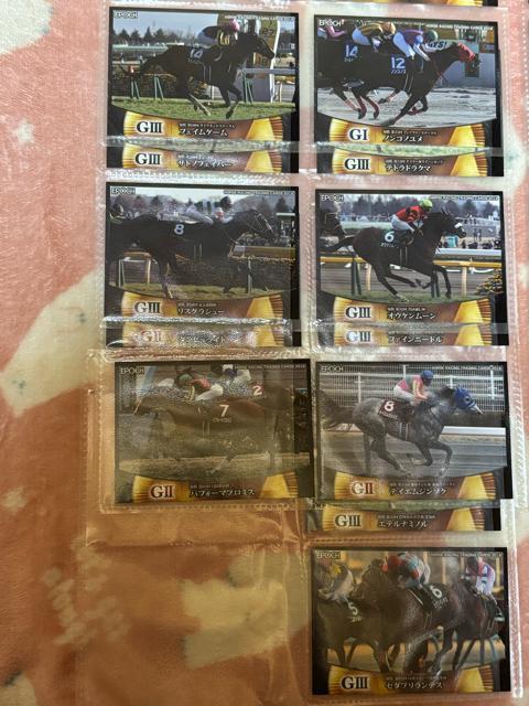 EPOCH�����[�V���O�z�[�X���g���[�f�B���O�J�[�h��vol.1�{vol.2�����M�����[�J�[�h105���Z�b�g�����n �� �z�r�[�� 