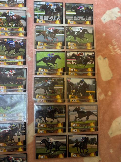 EPOCH�����[�V���O�z�[�X���g���[�f�B���O�J�[�h��vol.1�{vol.2�����M�����[�J�[�h105���Z�b�g�����n �� �z�r�[�� 