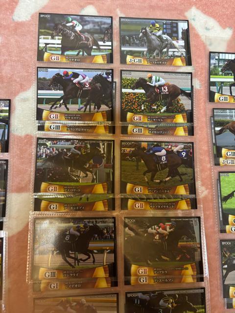 EPOCH�����[�V���O�z�[�X���g���[�f�B���O�J�[�h��vol.1�{vol.2�����M�����[�J�[�h105���Z�b�g�����n �� �z�r�[�� 