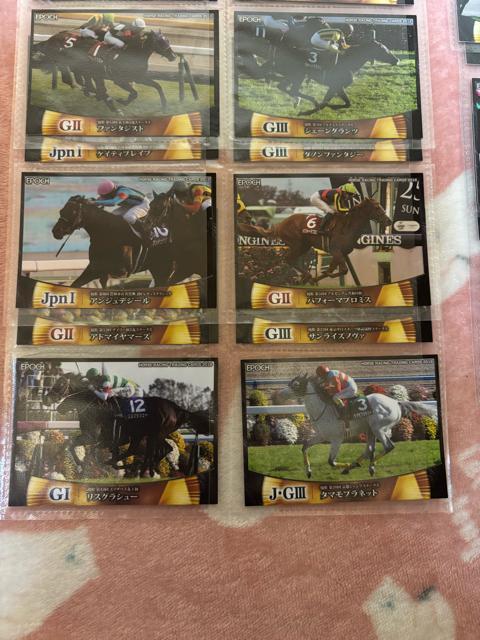 EPOCH�����[�V���O�z�[�X���g���[�f�B���O�J�[�h��vol.1�{vol.2�����M�����[�J�[�h105���Z�b�g�����n �� �z�r�[�� 