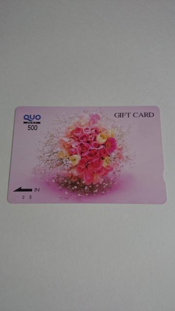 gpNIJ[h500~1ԑQUOJ[h  `Pbg/ 