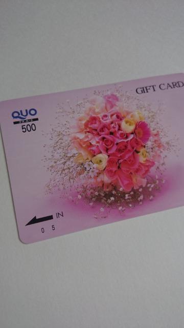 gpNIJ[h500~1ԑQUOJ[h  `Pbg/ 