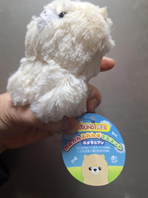 �m���D142 �V�i��ROUND1����I�u�|�����j�A���v�ӂ�ӂ�}�X�R�b�g�L�[�z���_�[ �� �����t�@�b�V������ 