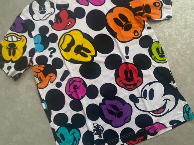 iDISNEY RESORT(fBYj[][g)~bL[TVc  t@bV 