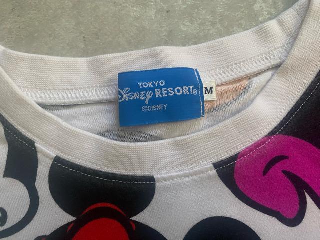 iDISNEY RESORT(fBYj[][g)~bL[TVc  t@bV 