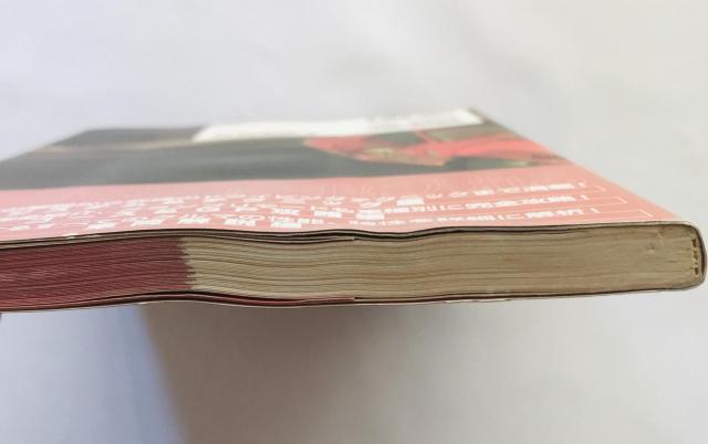 bW[T[V ItBVKChubN U{  Ridge Racer 5 Official Guide Book  Q[{/\tg 