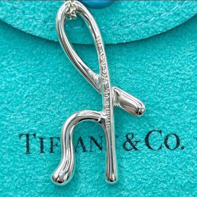 Ki@TiffanyCo. eBt@j[ CjV ^[ h lbNX@Ӓς  uh 