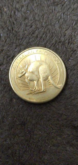 �I�[�X�g�����A�@�J���K���[���݁@1�I���X���v���J�Q�l�i  �� �z�r�[�� 