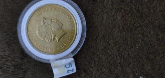 �I�[�X�g�����A�@�J���K���[���݁@1�I���X���v���J�Q�l�i �� �z�r�[�� 