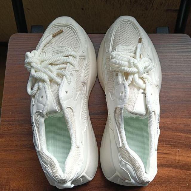 �V�i 24.5cm ���f�B�[�X �X�j�[�J�[ �z���C�g �V���[�Y �C �J�W���A�� �� �����t�@�b�V������ 