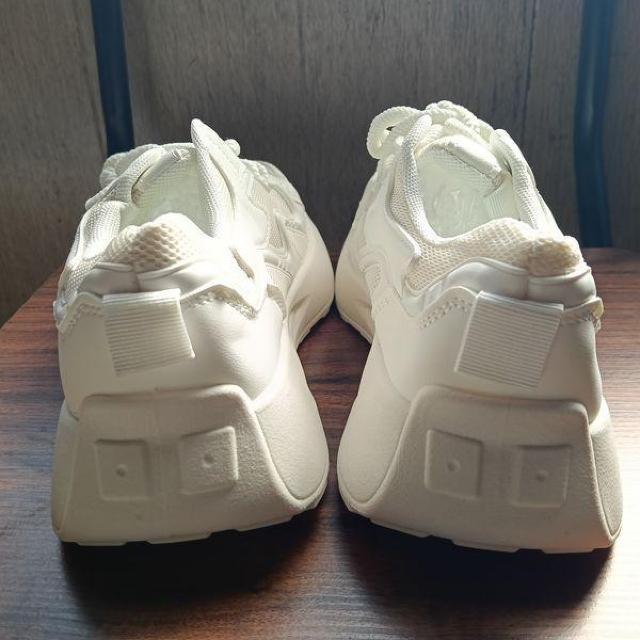 �V�i 24.5cm ���f�B�[�X �X�j�[�J�[ �z���C�g �V���[�Y �C �J�W���A�� �� �����t�@�b�V������ 