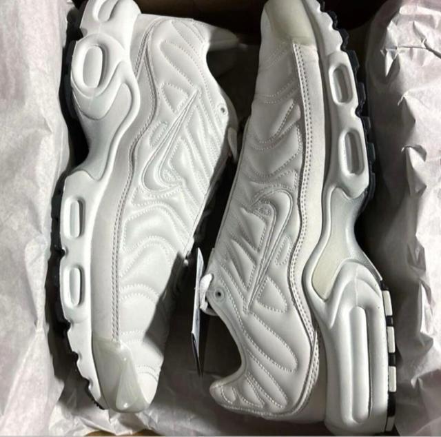 W NIKE AIR MAX PLUS Platinum Tint 28cm wmns ウィメンズ ナイキ エア マックス プラス < ブランド W NIKE AIR MAX PLUS Platinum Tint 28cm wmns ウィメンズ ナイキ エア マックス プラス < ブランドの