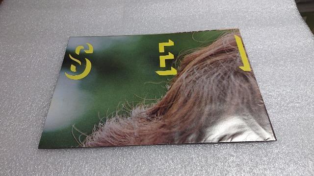 松田聖子・別冊・近代映画・松田聖子特集号・PART2 < タレントグッズ  松田聖子・別冊・近代映画・松田聖子特集号・PART2 < タレントグッズの