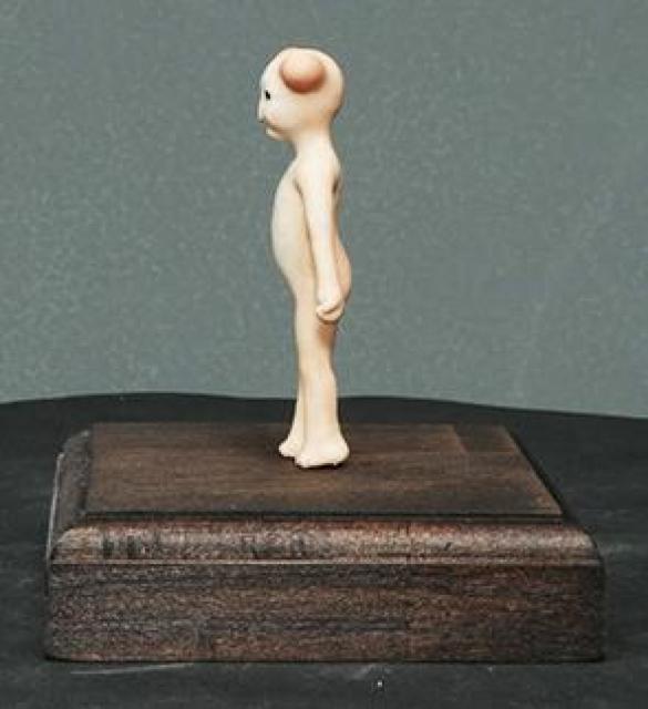 66_oXeg~j5.5cm