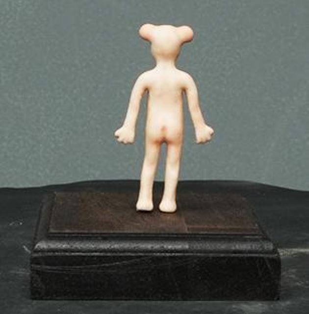 66_oXeg~j5.5cm