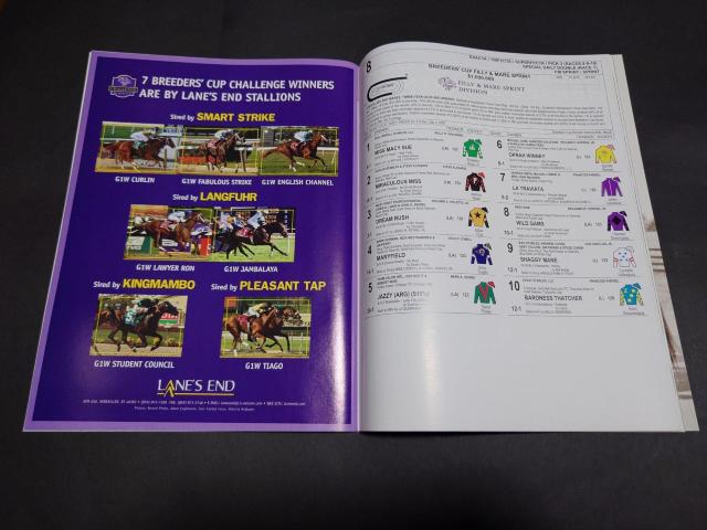 u[_[YJbv 2007 [VOvO 1 / [v  {/G 