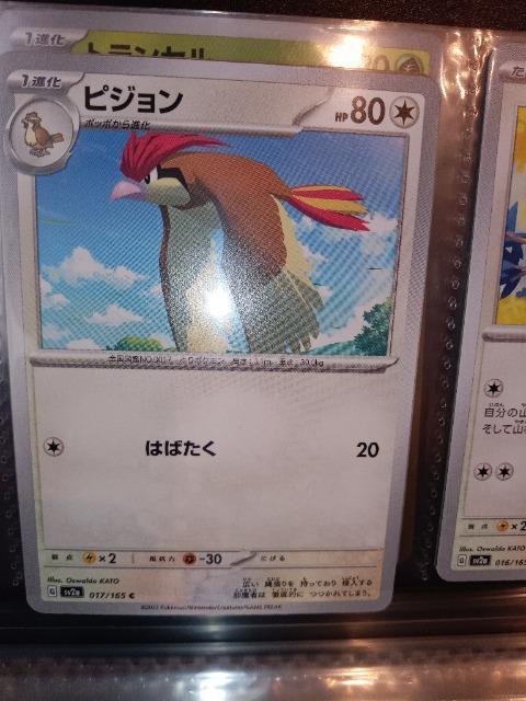 ピジョン < トレーディングカード ピジョン < トレーディングカードの