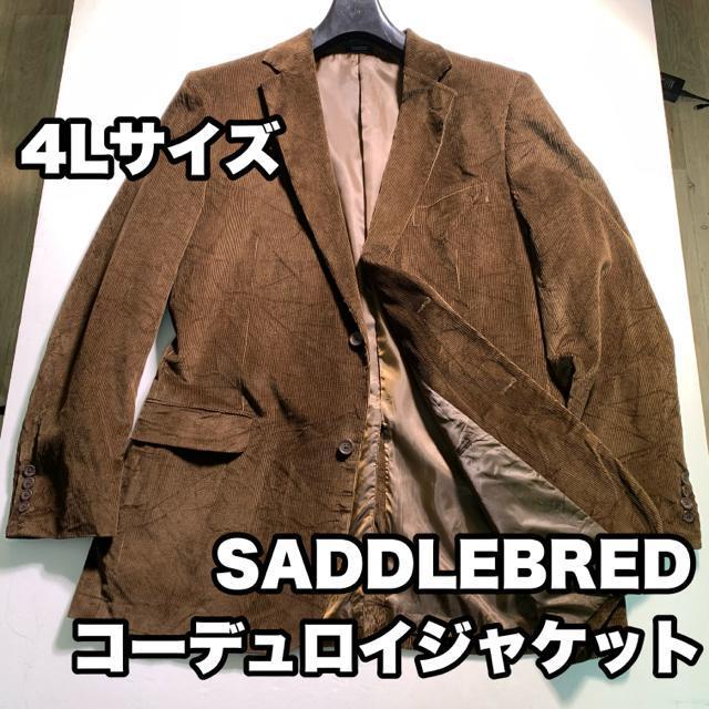 TCY 4L SADDLEBRED R[fCWPbg e[[hWPbg  uE R[fC    jt@bV 