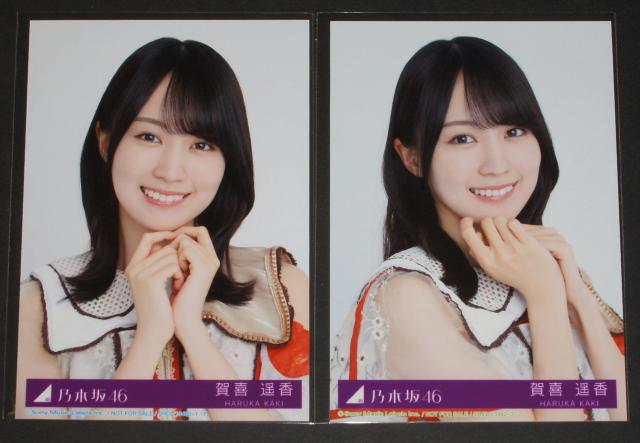 乃木坂46 ビリヤニ 生写真4枚コンプ 賀喜遥香 < タレントグッズ 乃木坂46 ビリヤニ 生写真4枚コンプ 賀喜遥香 < タレントグッズの