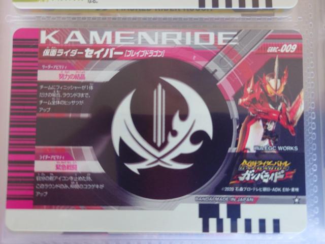 KoChNjNGBRC-009@ʃC_[ZCo[ uCuhS